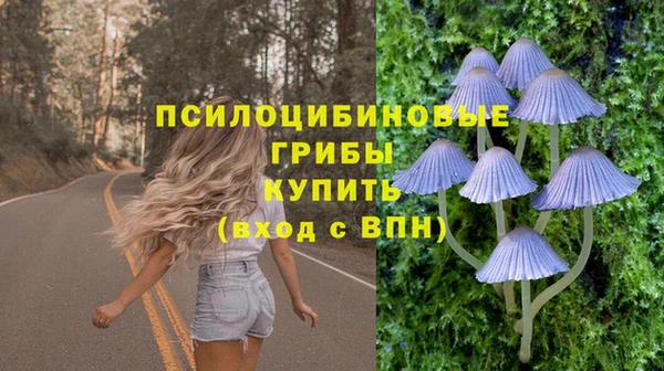прущие крисы Верхний Тагил