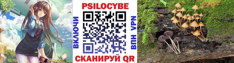 Псилоцибиновые грибы Cubensis  Карабаш 